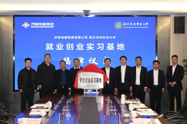 AG庄闲·(中国)集团-官网